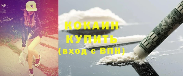 стафф Зеленокумск