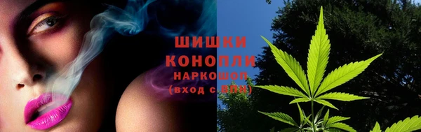 стафф Зеленокумск
