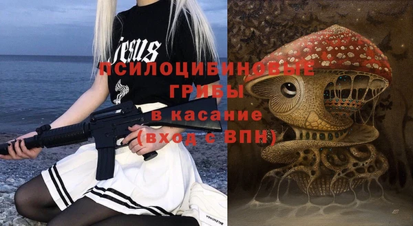 стафф Зеленокумск