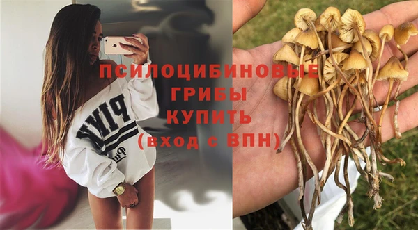 mix Зерноград