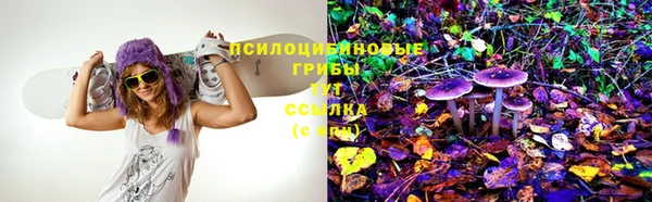 синтетический гашиш Зеленодольск