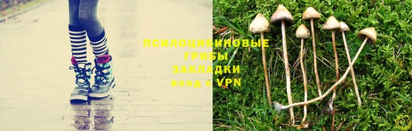 синтетический гашиш Зеленодольск