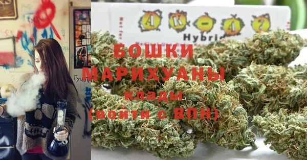 стафф Зеленокумск